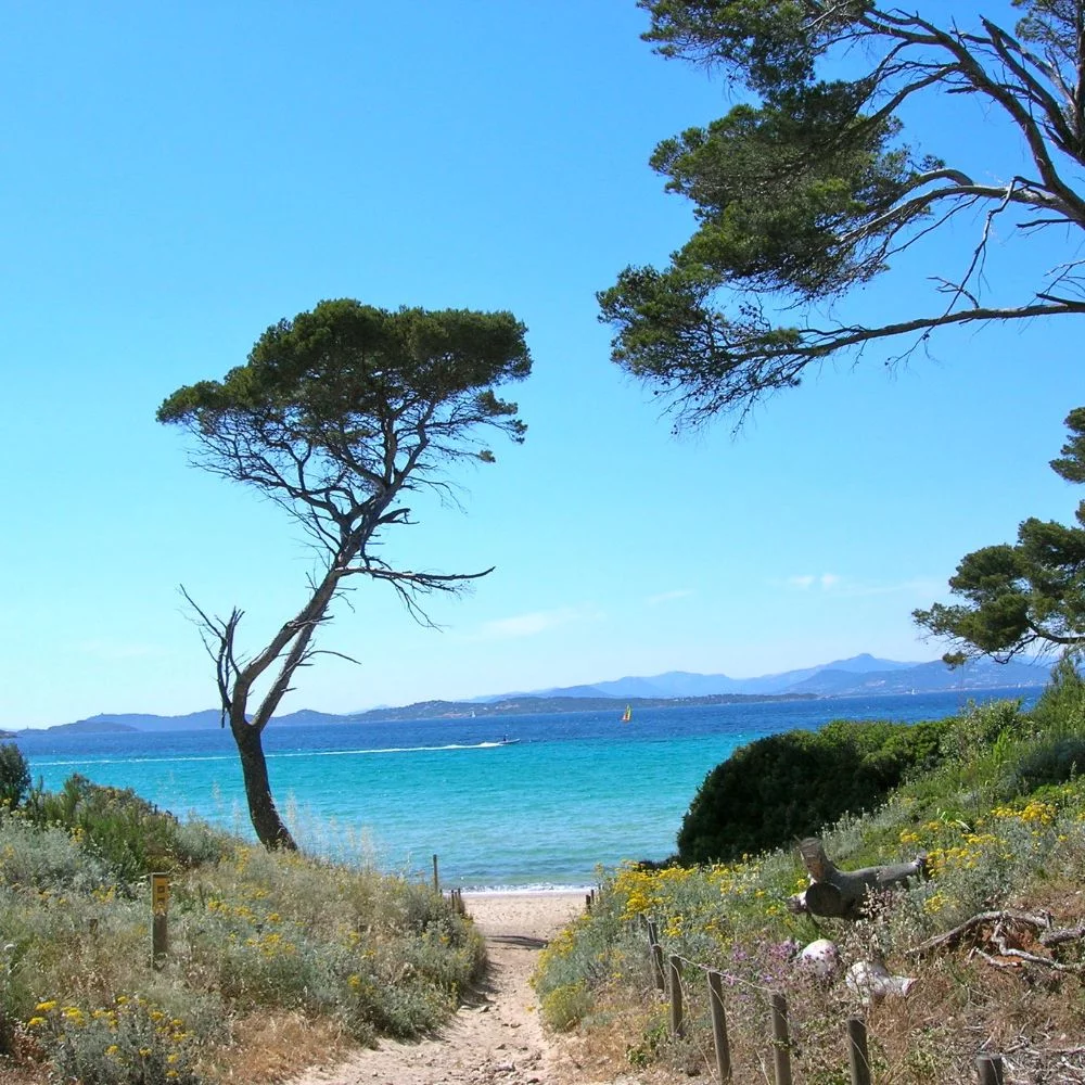 Ile de Porquerolles